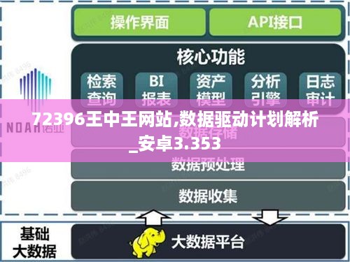 72396王中王网站,数据驱动计划解析_安卓3.353