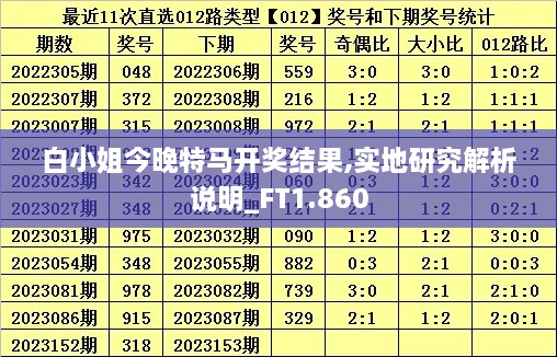 白小姐今晚特马开奖结果,实地研究解析说明_FT1.860