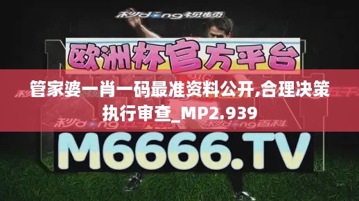 管家婆一肖一码最准资料公开,合理决策执行审查_MP2.939