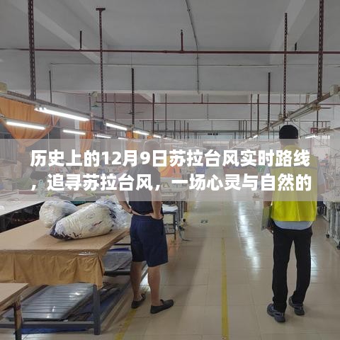 追寻苏拉台风，心灵与自然的奇妙之旅——历史上的苏拉台风实时路线追踪