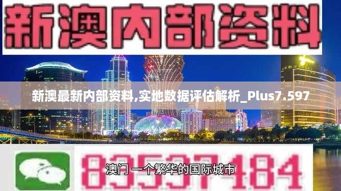 新澳最新内部资料,实地数据评估解析_Plus7.597