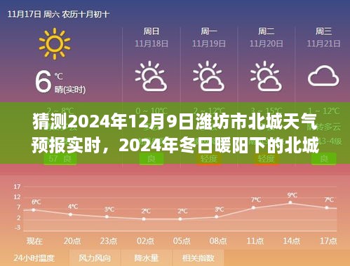 2024年冬日暖阳下的潍坊市北城天气预报，友情与家的温馨邂逅