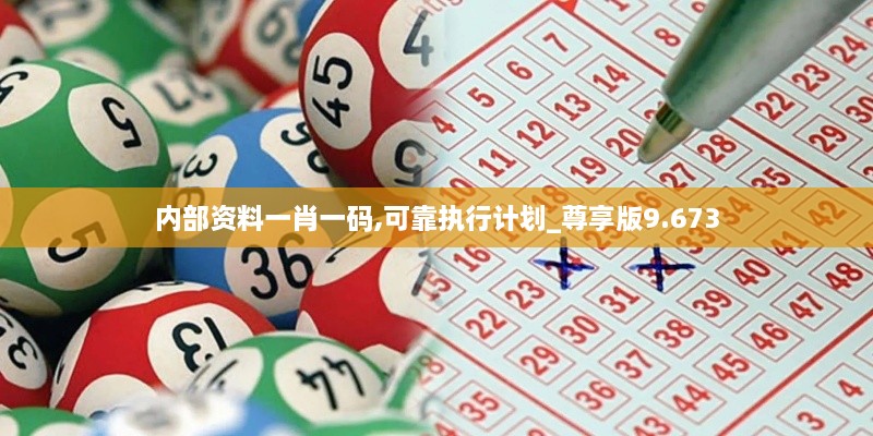 内部资料一肖一码,可靠执行计划_尊享版9.673