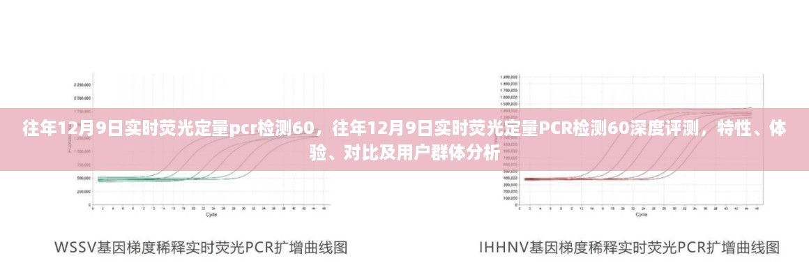 往年12月9日实时荧光定量PCR检测60，深度评测与全方位分析