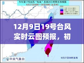 12月9日19号台风实时云图预报详解，初学者与进阶用户指南