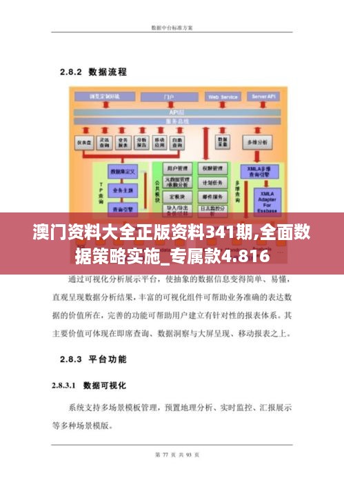 澳门资料大全正版资料341期,全面数据策略实施_专属款4.816