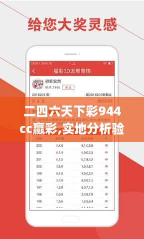 二四六天下彩944cc赢彩,实地分析验证数据_超级版8.125