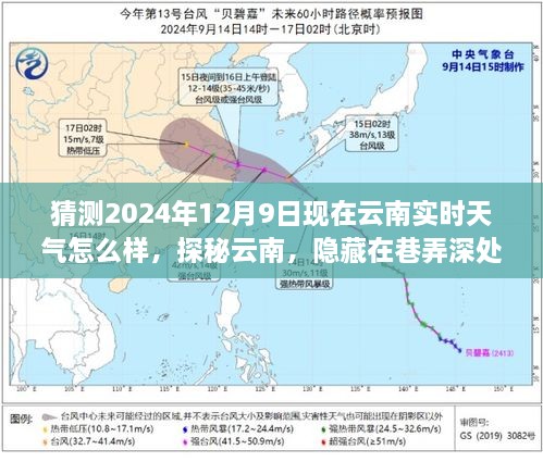 探秘云南巷弄深处的特色小店，揭秘2024年12月9日云南实时天气奇缘