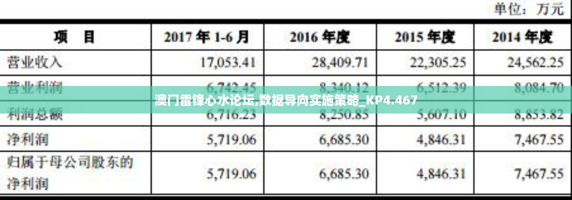 澳门雷锋心水论坛,数据导向实施策略_KP4.467