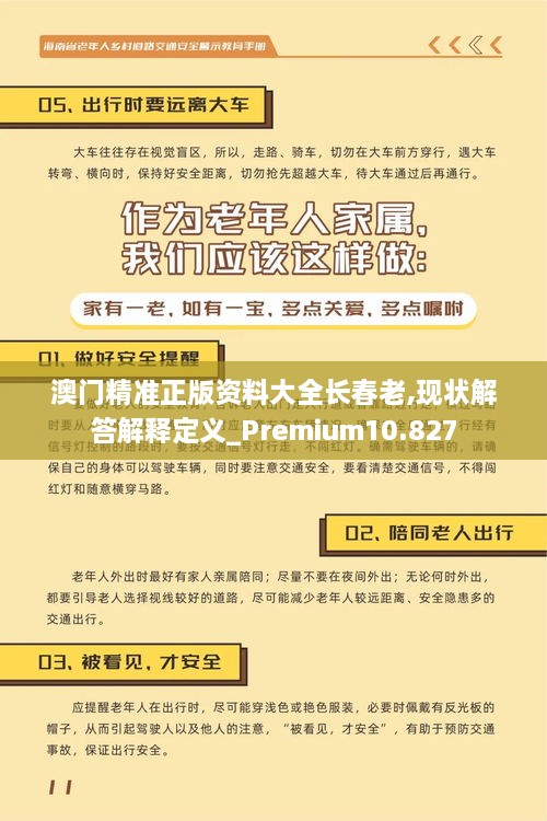 澳门精准正版资料大全长春老,现状解答解释定义_Premium10.827