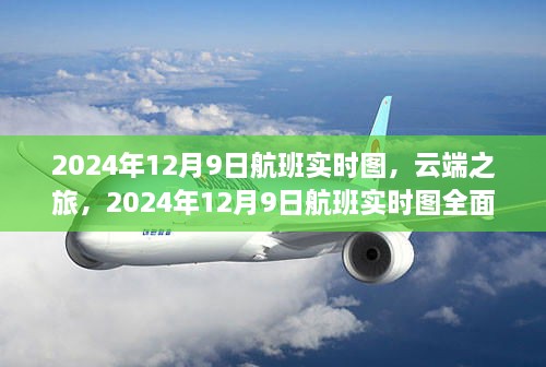 云端之旅，揭秘2024年航班实时图全面测评与介绍