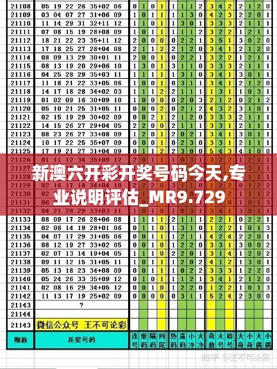 新澳六开彩开奖号码今天,专业说明评估_MR9.729