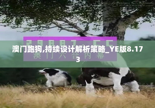 澳门跑狗,持续设计解析策略_YE版8.173