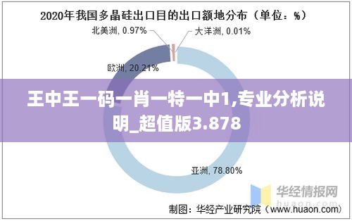 王中王一码一肖一特一中1,专业分析说明_超值版3.878