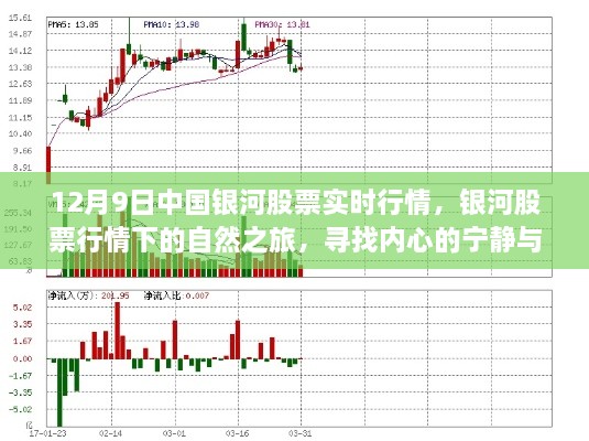 中国银河股票实时行情下的自然之旅，探寻内心宁静与喜悦的旅程