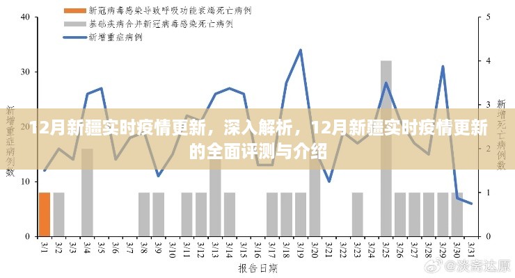 12月新疆实时疫情更新全面解析与介绍