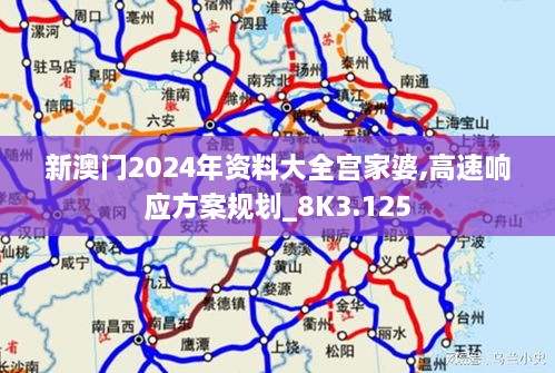 新澳门2024年资料大全宫家婆,高速响应方案规划_8K3.125