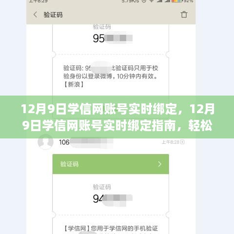 学信网账号实时绑定指南，操作技巧与个人信息安全保障攻略