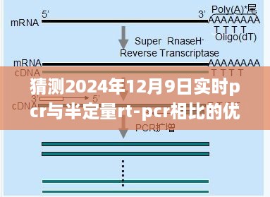 未来之光，实时PCR与半定量RT-PCR的竞赛，实时PCR在预测中的优势与未来展望