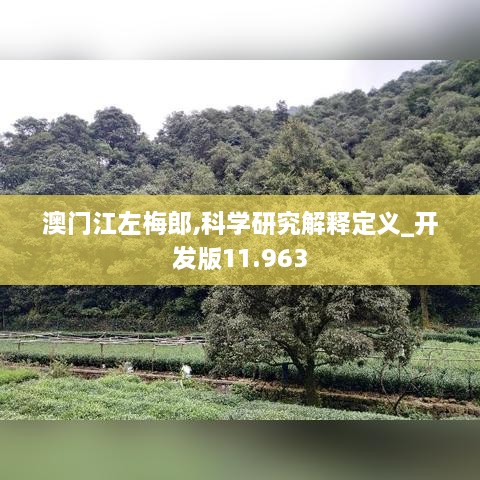 澳门江左梅郎,科学研究解释定义_开发版11.963