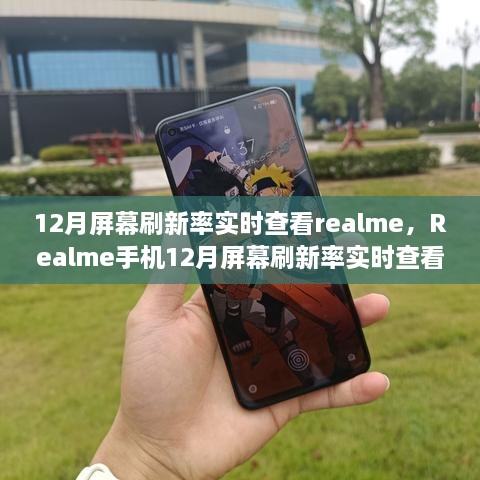 Realme手机屏幕刷新率实时查看指南（12月版）