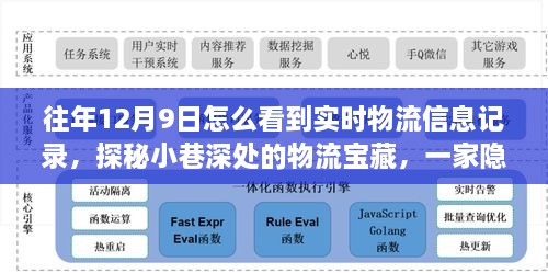 探秘小巷深处的物流宝藏，实时物流信息记录小店的奇妙之旅——12月9日实时物流追踪体验分享