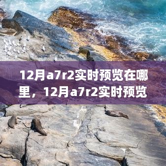 揭秘A7R2相机，探讨实时预览功能及实现位置