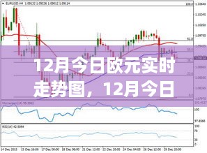 洞悉市场动态，12月欧元实时走势图分析与投资机会把握