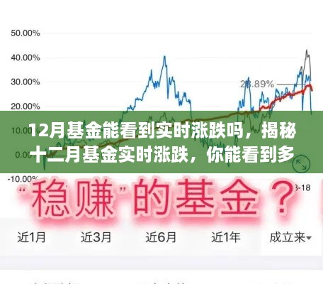 揭秘十二月基金实时涨跌情况，实时数据一览无余