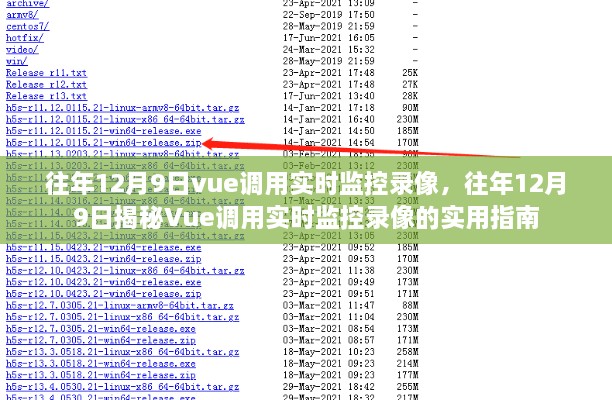 Vue调用实时监控录像的实用指南揭秘（历年12月9日专题）