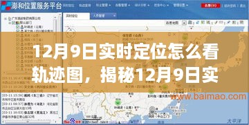 2024年12月10日 第25页