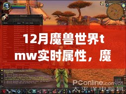 魔兽世界TMW实时属性的历史影响与特定时代的辉煌