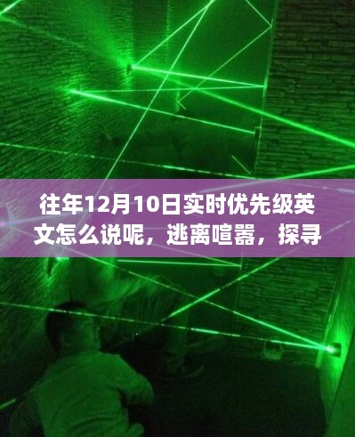 往年12月10日探寻自然美景之旅，逃离喧嚣，心灵启示的启示时刻