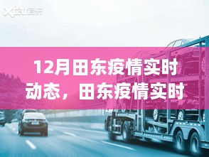 12月田东疫情实时动态深度观察，影响分析与实时进展