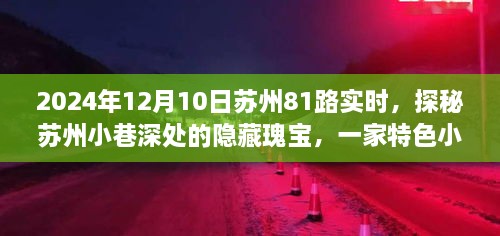 探秘苏州小巷深处的隐藏瑰宝，苏州81路特色小店日常故事之旅