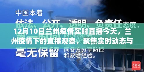 2024年12月10日 第7页