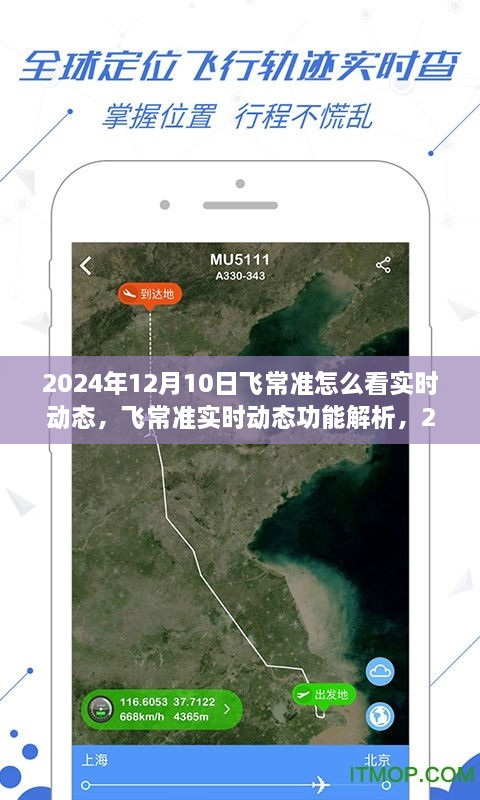 飞常准实时动态功能解析及航空动态展望，如何查看2024年12月10日的实时飞行动态