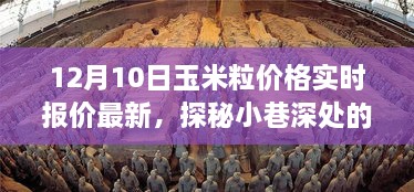 探秘玉米粒宝藏，最新实时报价，掌握玉米粒市场动态（12月10日）