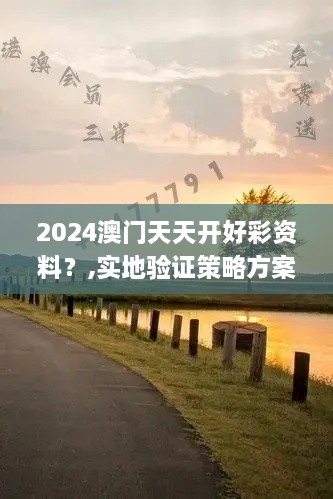 2024澳门天天开好彩资料？,实地验证策略方案_XP13.913