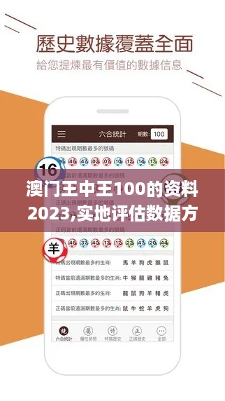 澳门王中王100的资料2023,实地评估数据方案_复刻款5.766