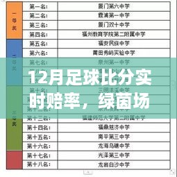 12月足球实时赔率与绿茵场上的温情故事，一场关于比分与日常的情感之旅