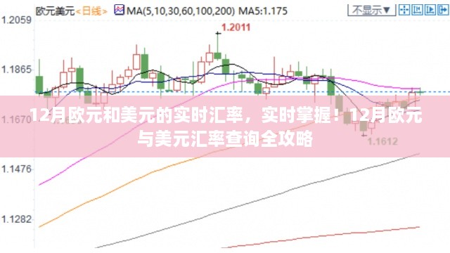 12月欧元与美元汇率实时查询及全攻略