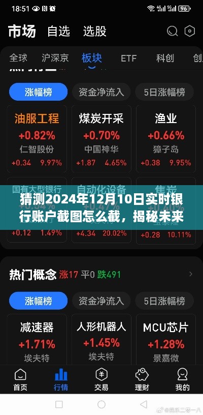 揭秘未来银行账户截图，如何准确预测并实时截取银行账户截图（以2024年12月10日为时间节点）