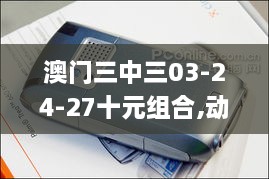 澳门三中三03-24-27十元组合,动态调整策略执行_PalmOS8.427