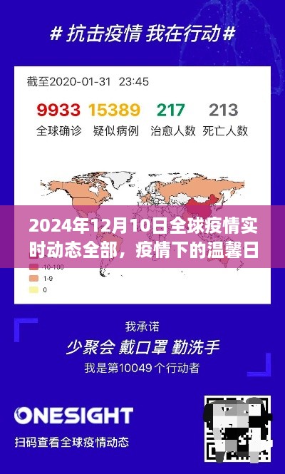 全球疫情实时动态下的温馨日常与友情故事——2024年12月10日回顾