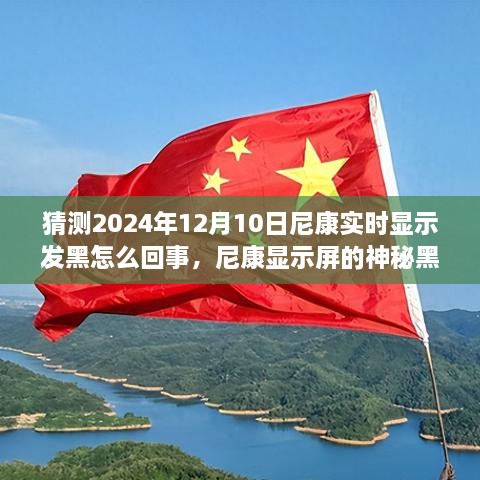 尼康显示屏神秘黑屏，2024年12月10日意料之外的温馨探索之旅