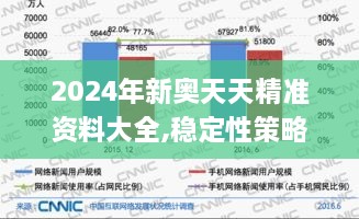 2024年新奥天天精准资料大全,稳定性策略解析_AR1.915