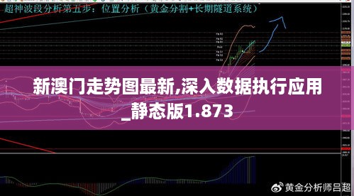 新澳门走势图最新,深入数据执行应用_静态版1.873