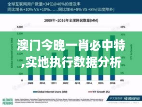 澳门今晚一肖必中特,实地执行数据分析_HarmonyOS9.917