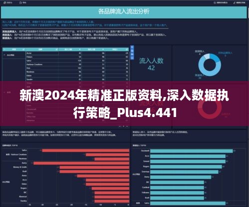 新澳2024年精准正版资料,深入数据执行策略_Plus4.441